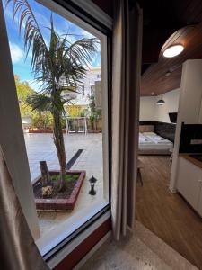 Modern StudioNr3 Kitchen bathroom Terrace