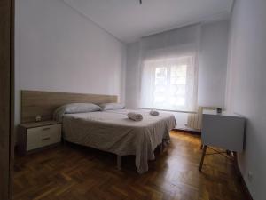 Apartamento San Millan Confort