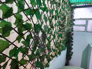 Apartamento San Millan Confort