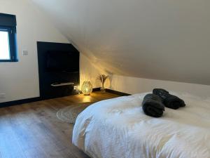 Appartements Art des sens - SPA et Sauna privatifs : photos des chambres