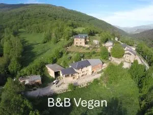 Cal Calau vegà - Nevà