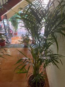Tony Home Stay
