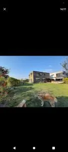 Hermosa casa iluminada con espacio verde y cerca del cerro - San Javier