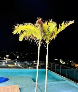 Makani Paraiso Tamandare