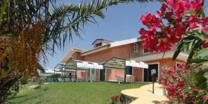 Al Ficodindia - Sampieri