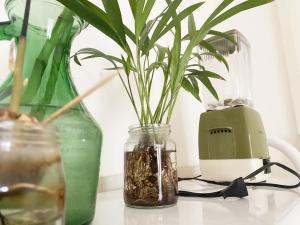 Appartamento tipico Romano - Rione XXII Apartment