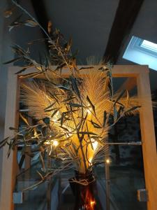 Les Gîtes du Saro 25 min Stations Dévoluy