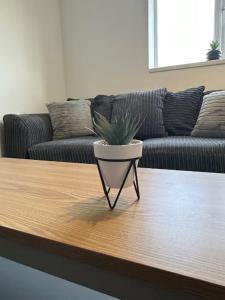 Comfy 1 BR Apartment - Sleeps 2 with Free Parking!