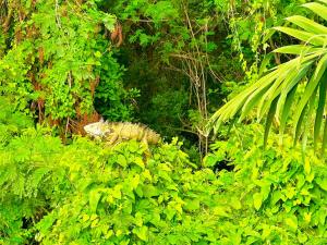 Estrena apartamento en el mejor Condominio con SPA de Ricaurte