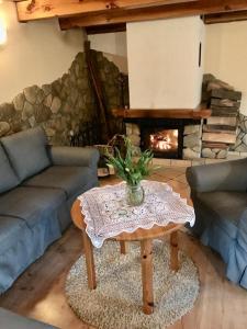 Dom górski do wynajęcia 3 km od Karpacza Sudecka 100