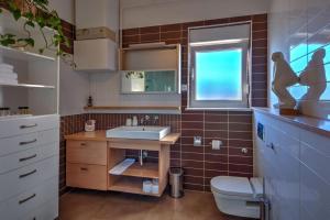 Penthouse Belvedere City View with Private Parking