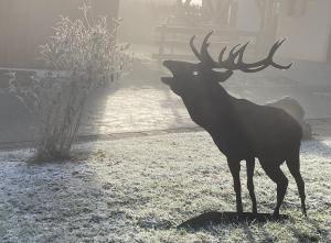 Feriendorf Via Claudia Haus 81 Eulennest