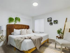 OSU Pet Perfect in PNW