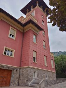 Paulonia