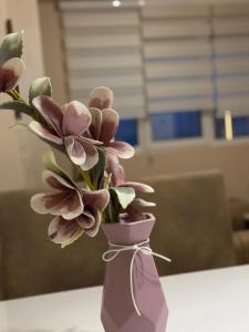 Apartman centar- Montana