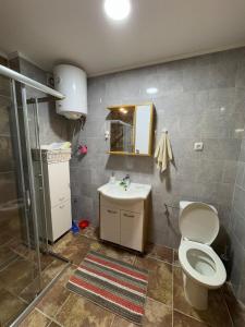 Apartman centar- Montana