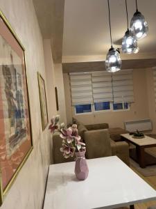 Apartman centar- Montana