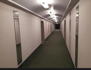 Dunapest thermal luxury residence