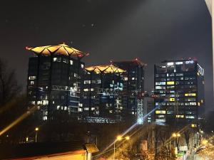 Cosy studio Floreasca