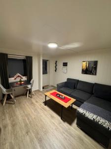 Liten eldre og koselig studiohybel