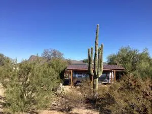 Vintage Airstream Lola Saguaro National Park - Marana
