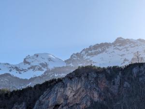 Appartements Les cles des pistes : photos des chambres