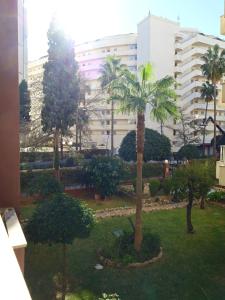 Apolo 101 Marbella