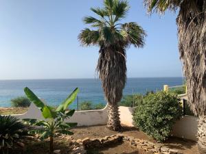 Tropikal House Facing Ocean