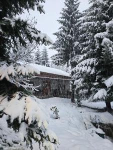 Guest house Hyrmet Demushi