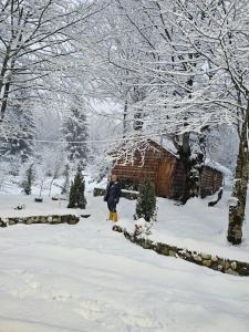 Guest house Hyrmet Demushi