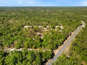 Three Cedars - Suwannee