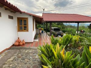 Eje cafetero Cacique Amarillo Finca