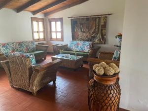 Eje cafetero Cacique Amarillo Finca