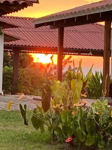 Eje cafetero Cacique Amarillo Finca