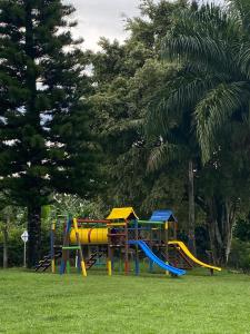 Eje cafetero Cacique Amarillo Finca