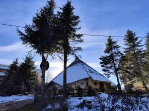 Kuća Drinčić - Cajetina