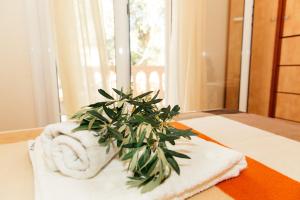 Right on the beach cozy accommodation