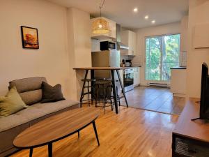 VIAU-1BR near Olympic Stadium