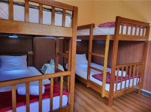 Giường trong Phòng ngủ Tập thể 4 Giường cho cả Nam và Nữ  (Bed in 4 Bed Mixed Dormitory)