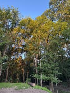 Cabañas Nueve Alamos