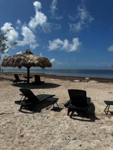 Beach View Room at Barnacle Resort