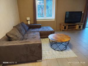 Maisons de vacances La Renardiere : photos des chambres
