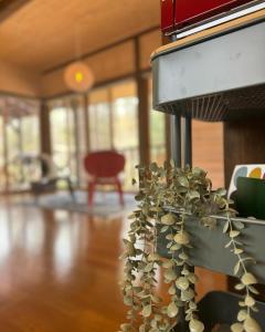 Second House ホッポッタ