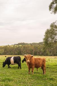 Valley Green Haven Estate