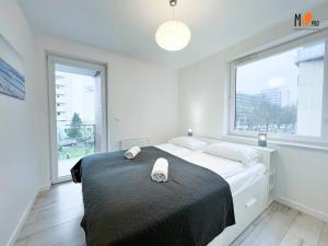 Apartamenty Comfort Kasprowicza