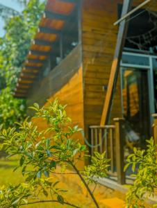 Glass Roof Southern Edge Cabanas