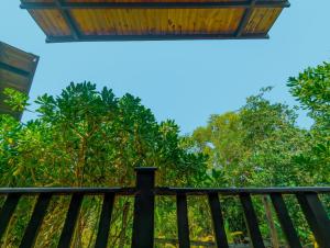 Glass Roof Southern Edge Cabanas