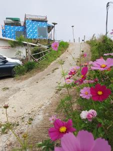 The Moon House บ้านพักภูทับเบิก Phu Thap Buek