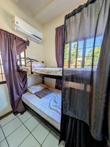 Screaming Gecko Hostel