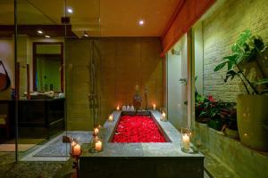 Nexus House Lang Bao Chi